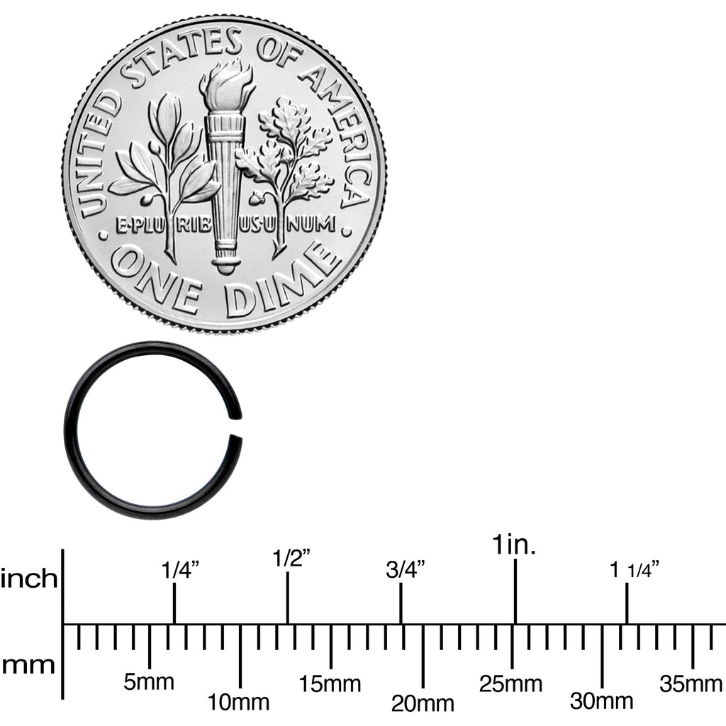 20G 5/16 Black Anodized Seamless Circular Ring Set of 12