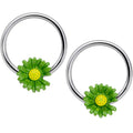 14G 1/2 Green Daisy BCR Captive Nipple Ring Set