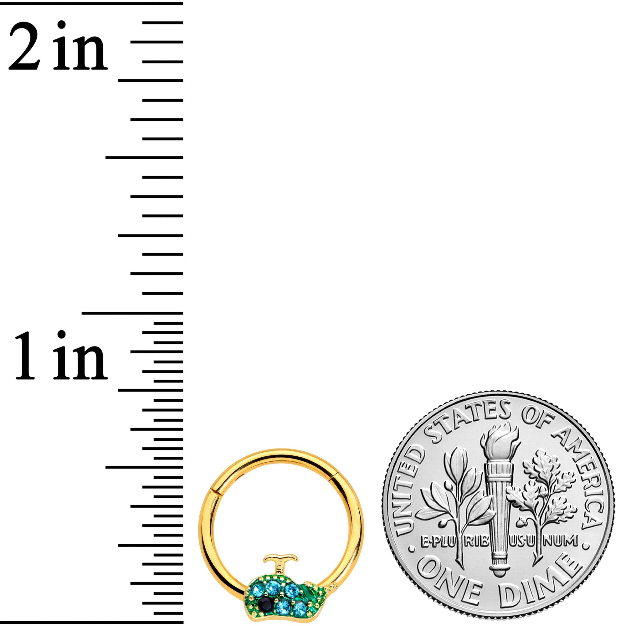 16G 3/8 Aqua Gem Gold Tone Water Whale Hinged Segment Ring
