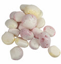 INTERSTELLAR CHEWZ (20 COUNT)