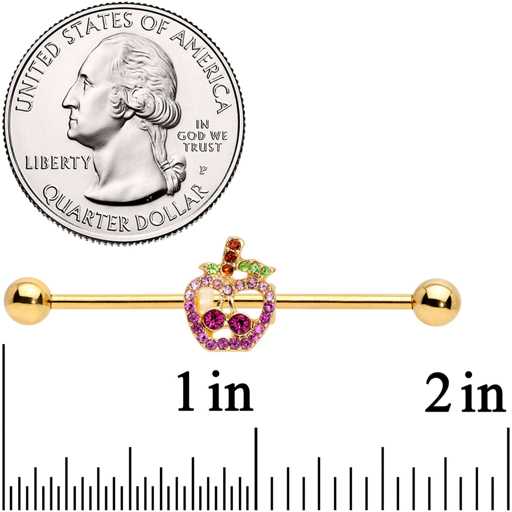 14G Pink Purple Gem Gold Hue Apple Cherry Industrial Barbell 38mm