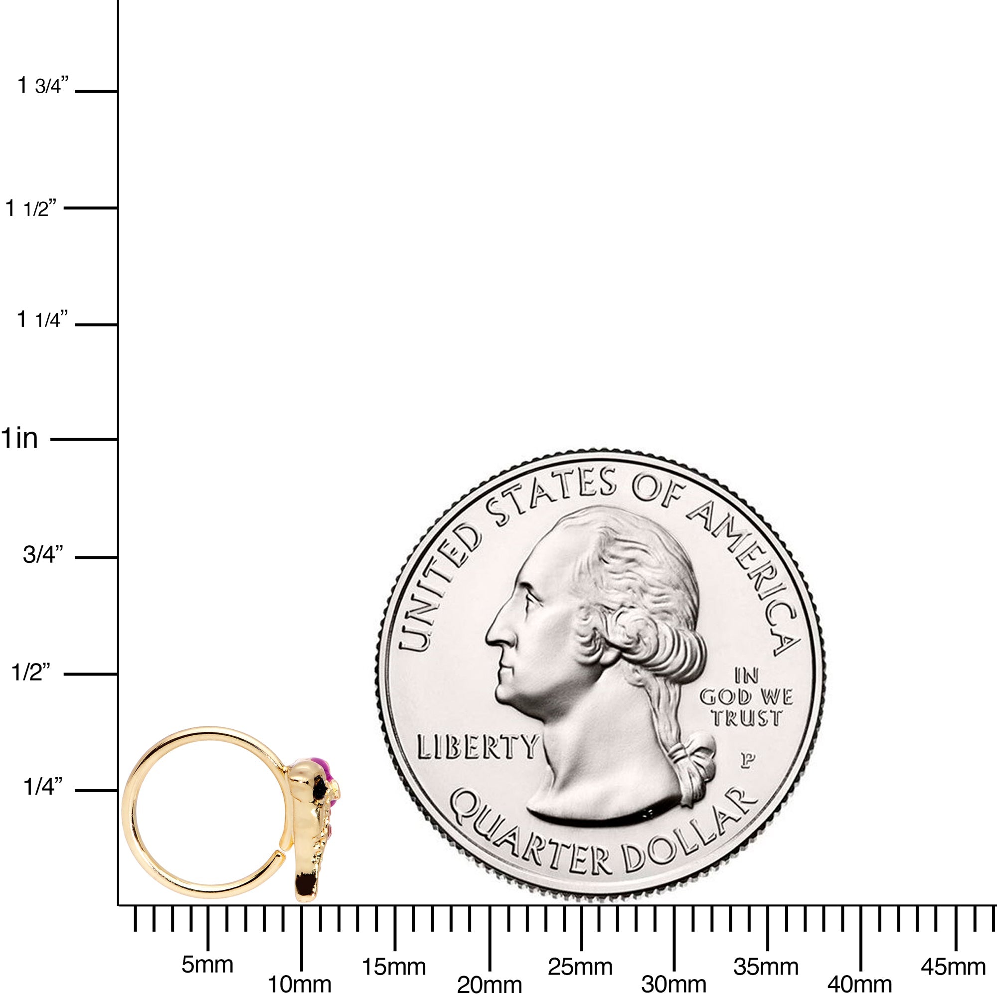 20G 5/16 Purple Gem Gold Tone Dainty Dolphin Nose Hoop