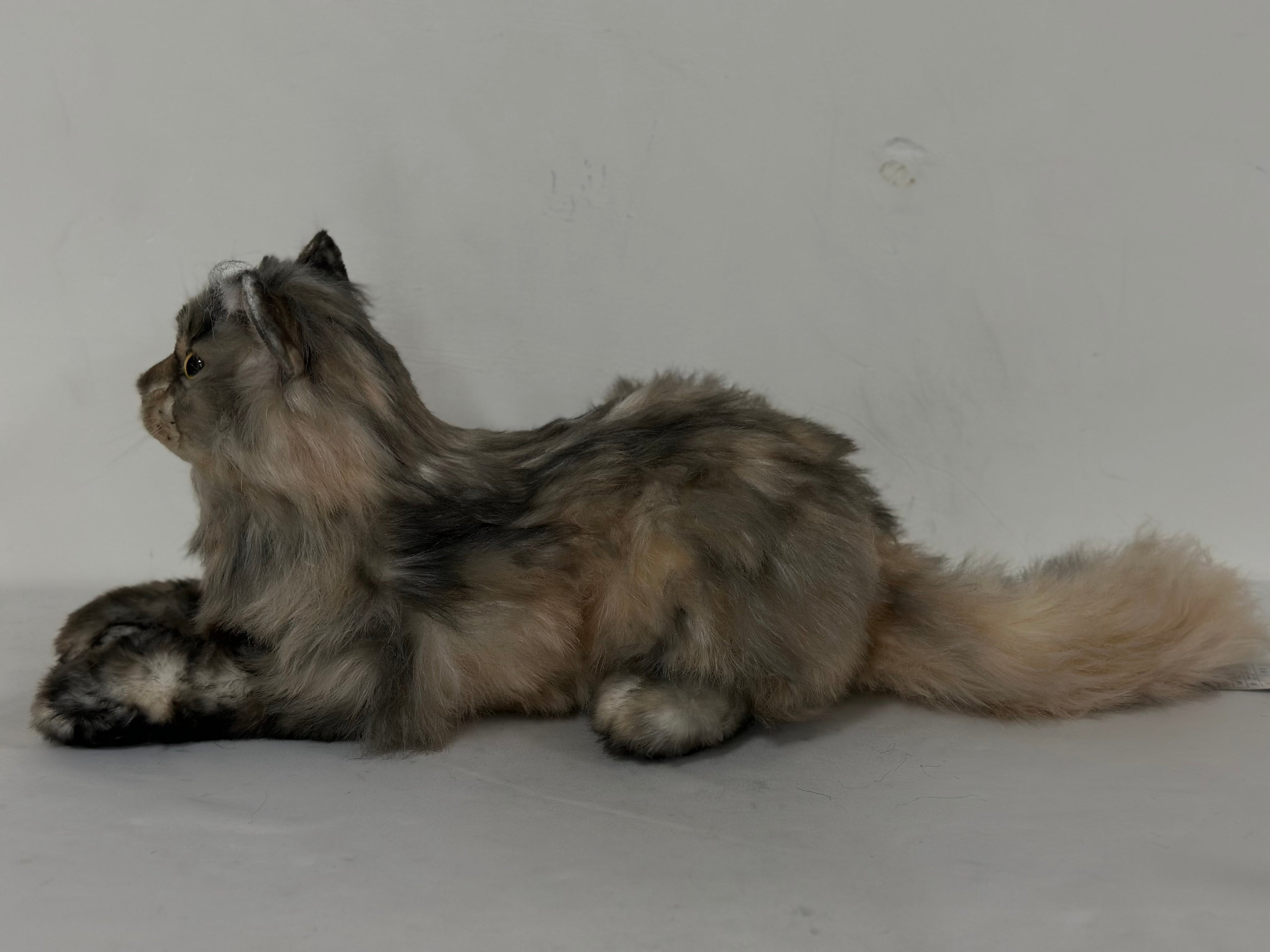 Plush American Tabby Cat Longhair-Handmade Life-Size Companion & Pet Memorial
