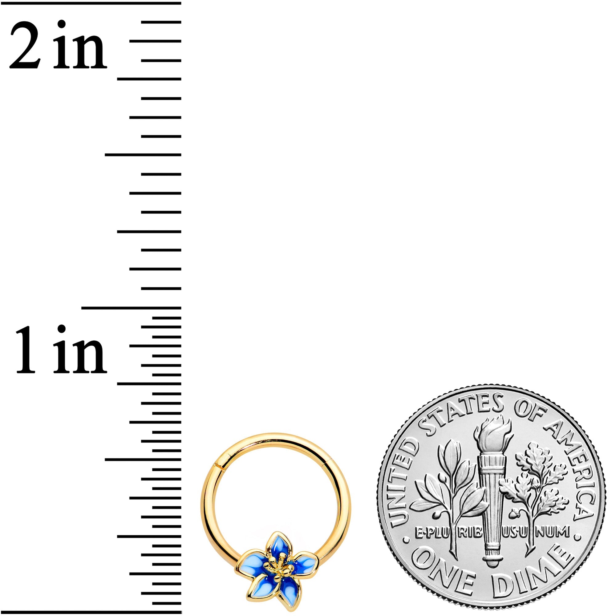 16G 3/8 Gold Tone White Blue Flower Hinged Segment Ring