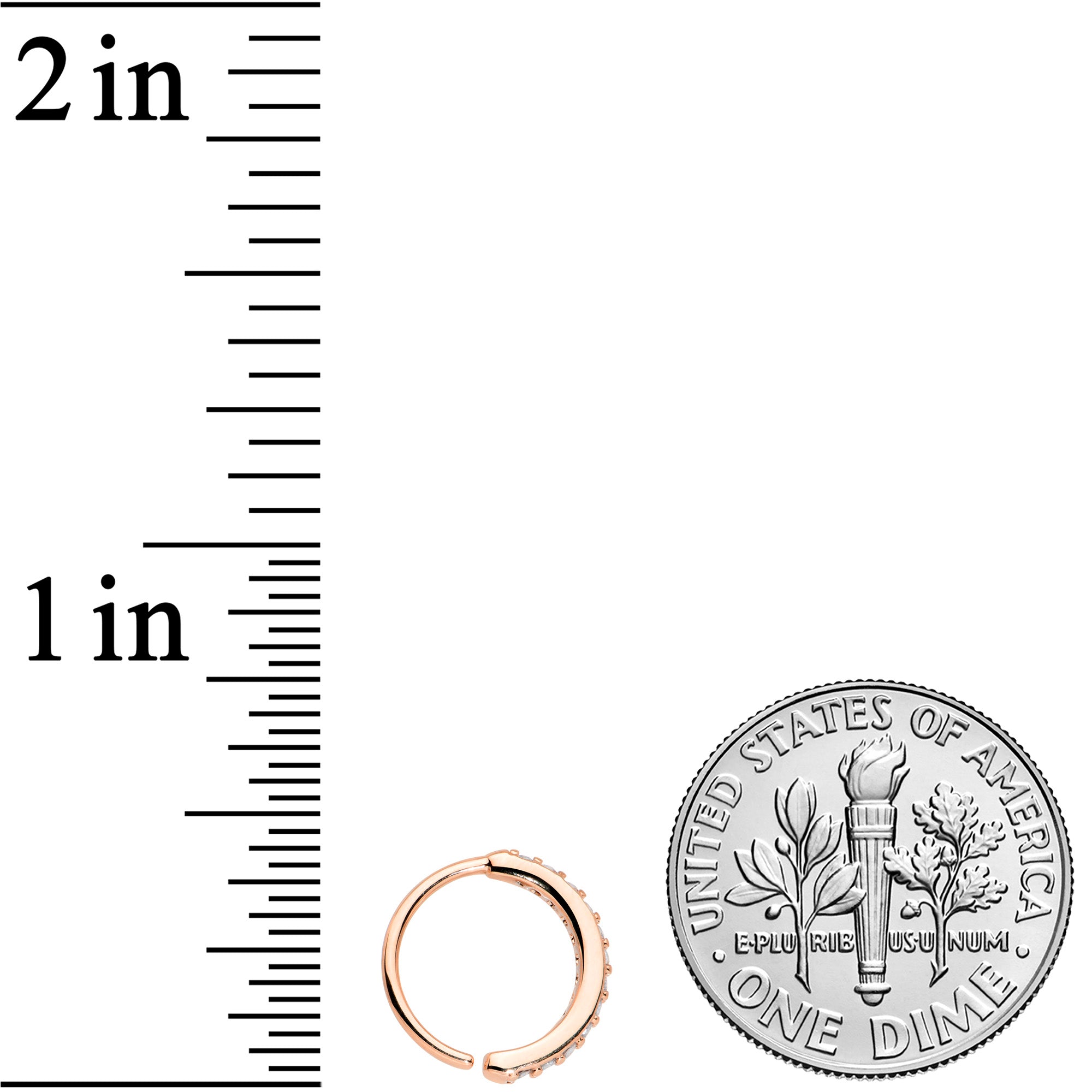 20G 5/16 Clear CZ Gem Rose Gold Tone Forward Facing Nose Hoop