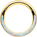 16G 5/16 Synth Opal Gold Tone Bottom Curve Hinged Segment Ring