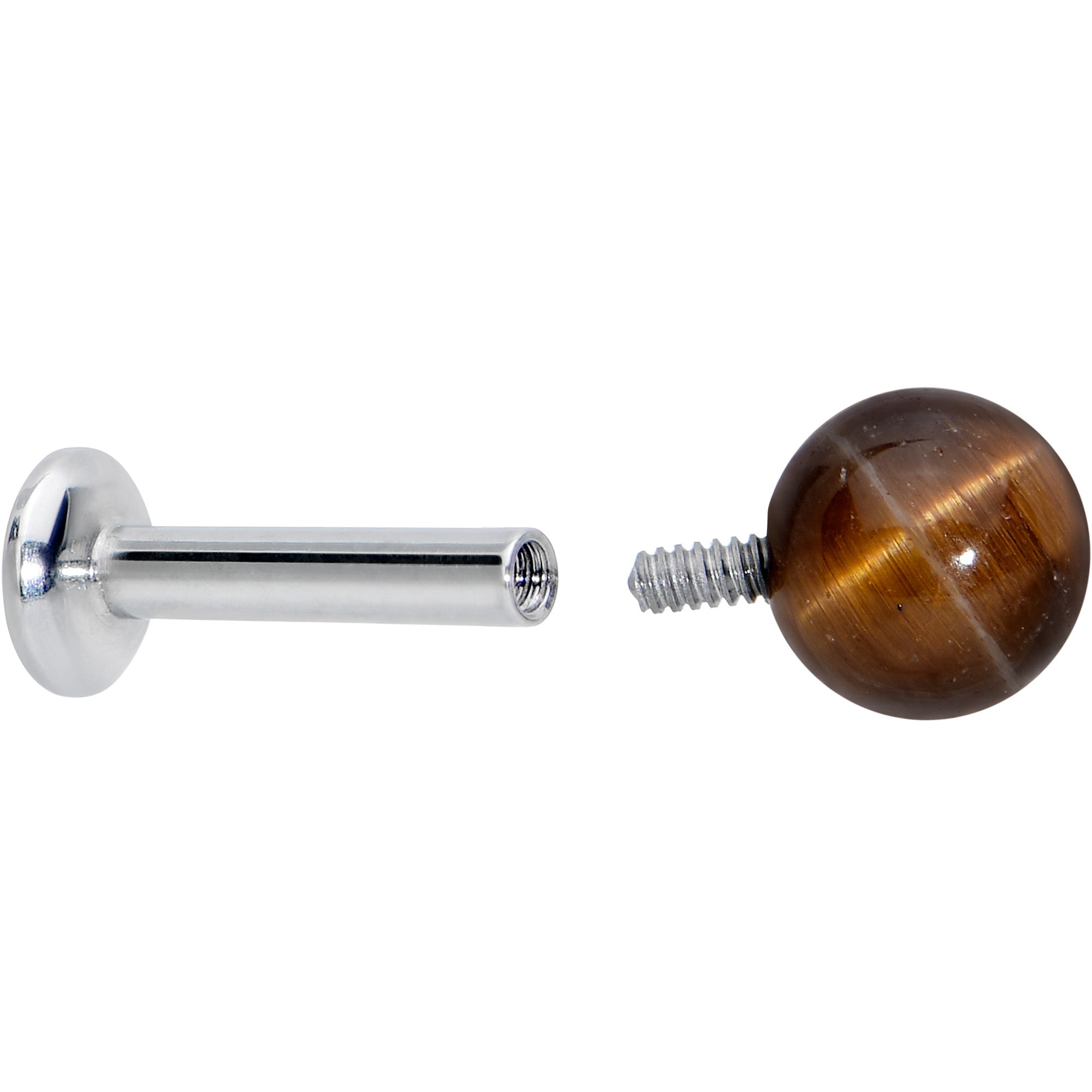 16G 1/4 Elegant Brown Tiger Eye Internal Threaded Labret Tragus