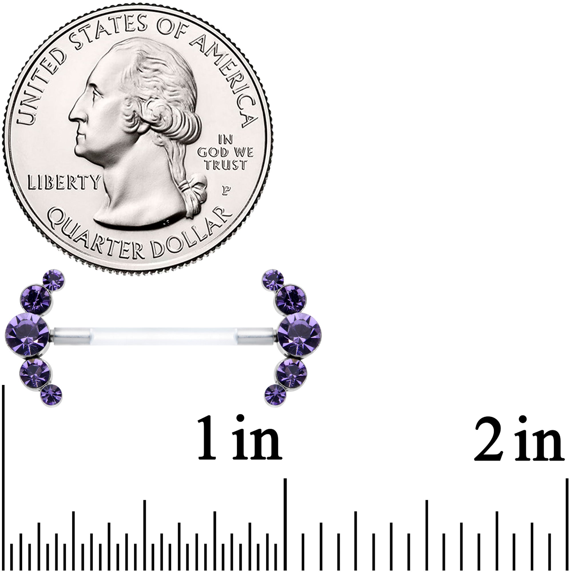 14G 13/16 Purple Gem Bioplast Simple Curvation Nipple Ring Set