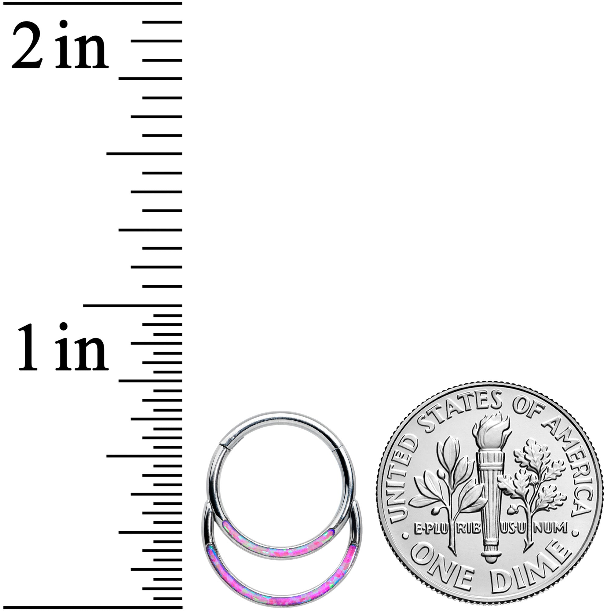 16G 3/8 Purple Synthetic Opal Double Row Hinged Segment Ring