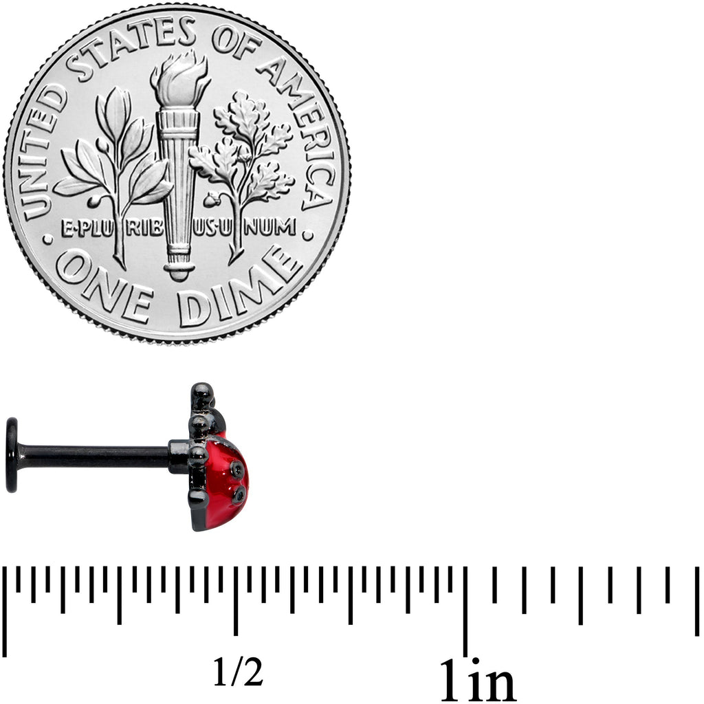 16G 5/16 Black Classic Ladybug Labret Monroe Tragus