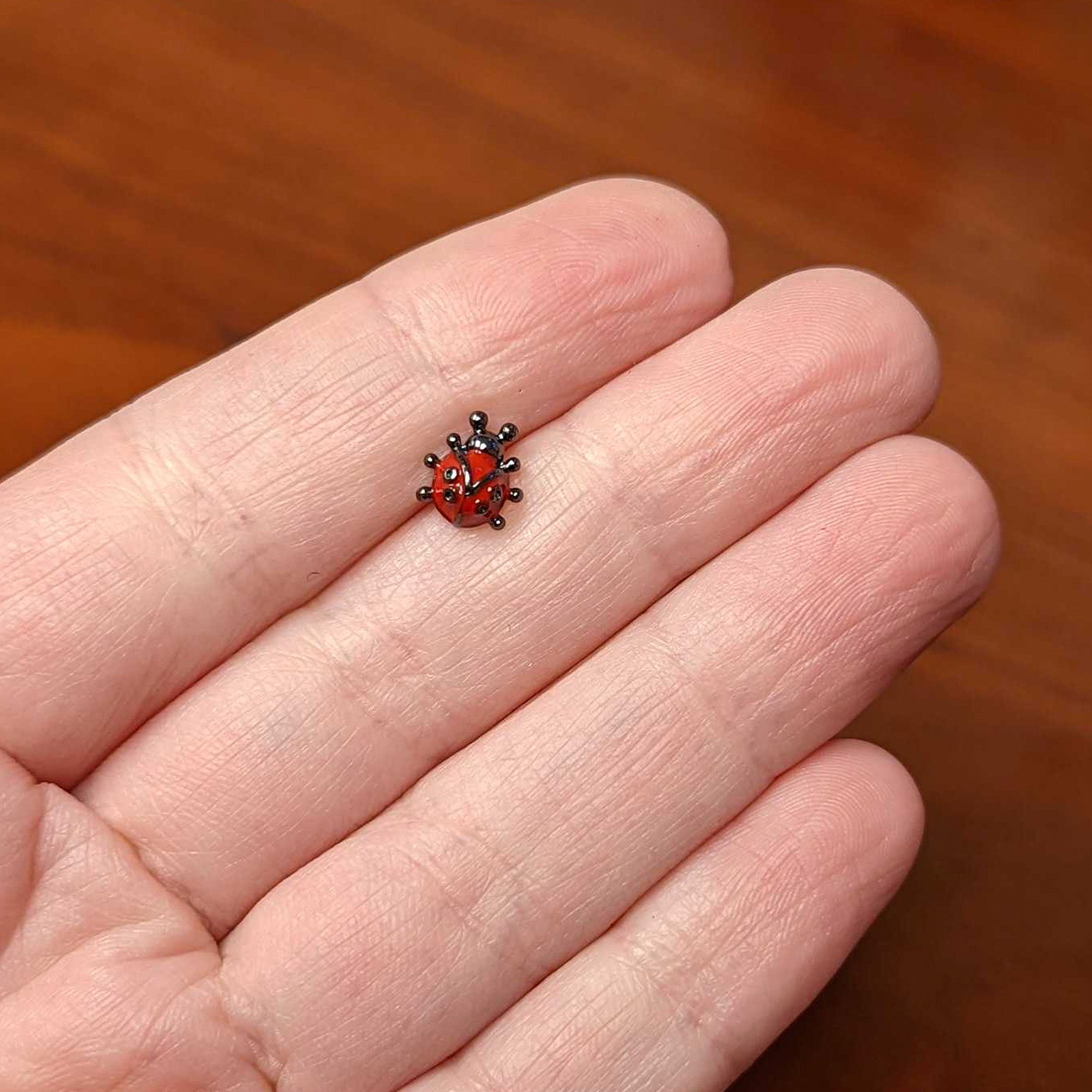 16G 5/16 Black Classic Ladybug Labret Monroe Tragus