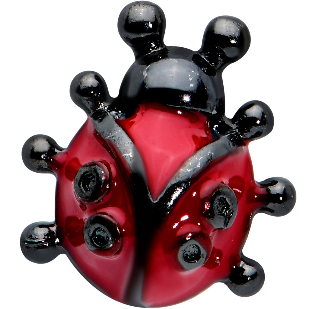 16G 1/4 Black Classic Ladybug Cartilage Tragus Earring