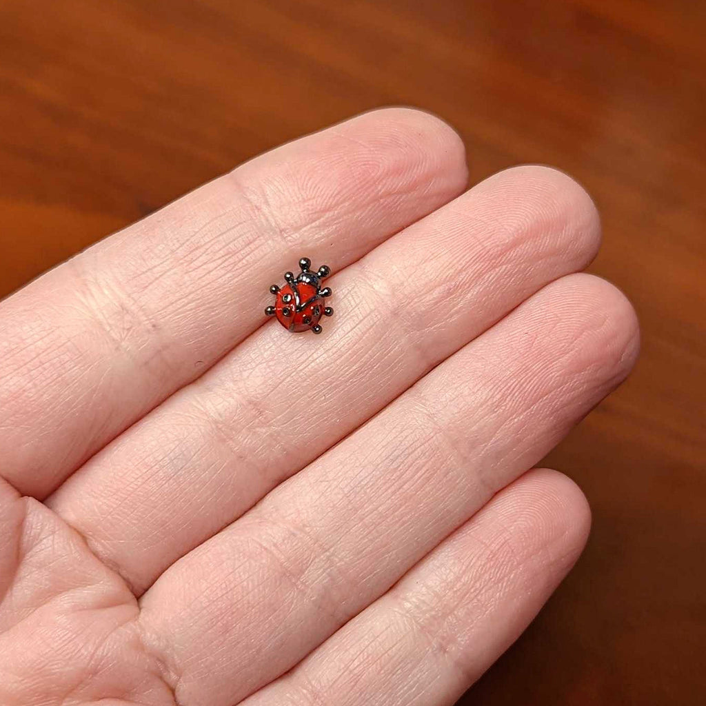 16G 1/4 Black Classic Ladybug Cartilage Tragus Earring