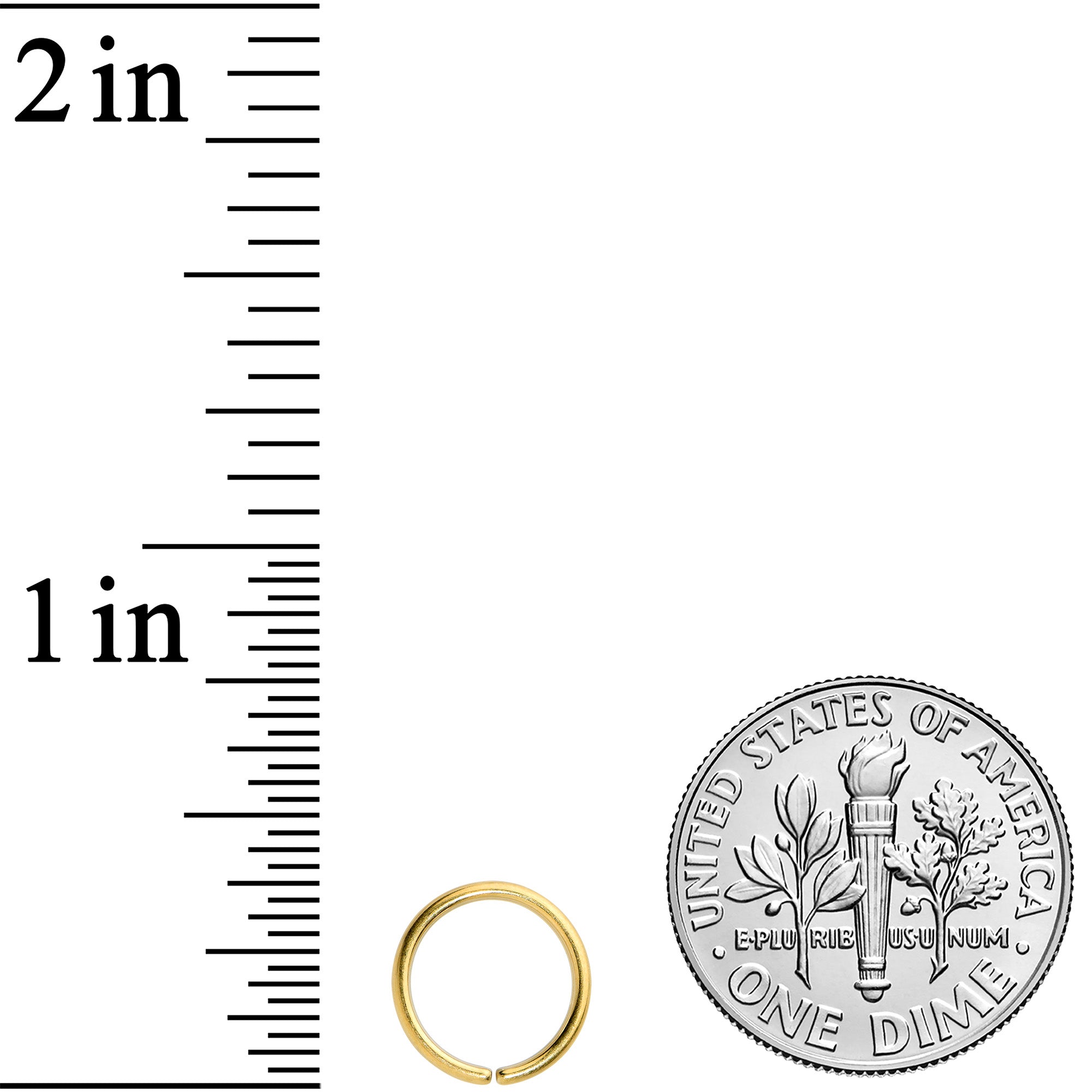 18G 5/16 Gold Tone PVD Grade 23 Titanium Bendable Hoop Ring