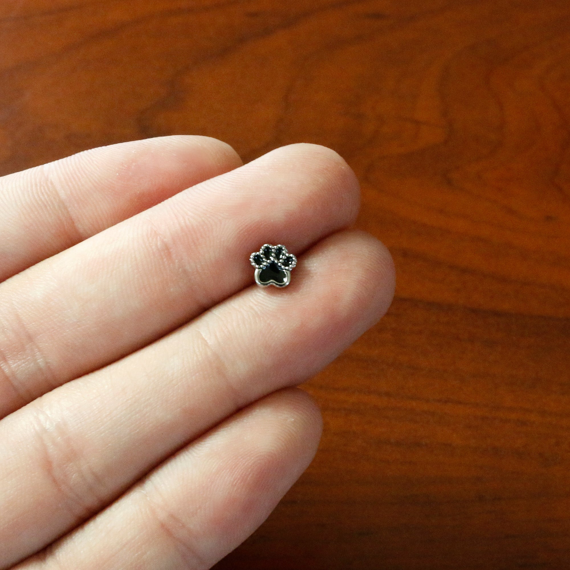 16G 5/16 Textured Black Paw Print Labret Monroe Tragus