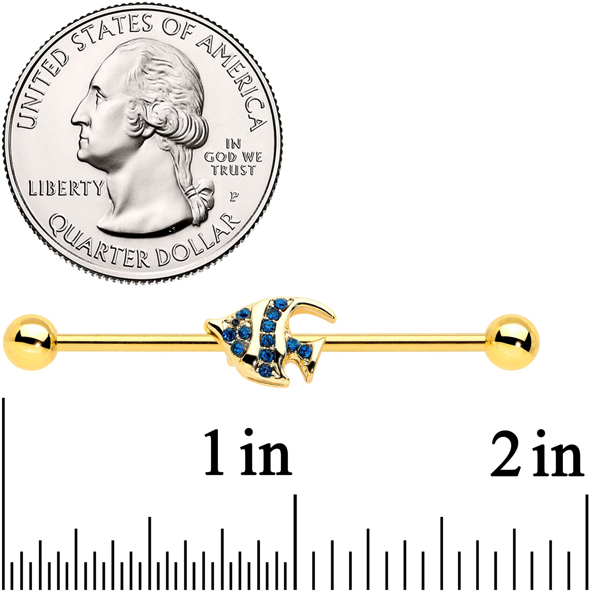 14G Blue Gem Gold Tone Adorable Angelfish Industrial Barbell 38mm