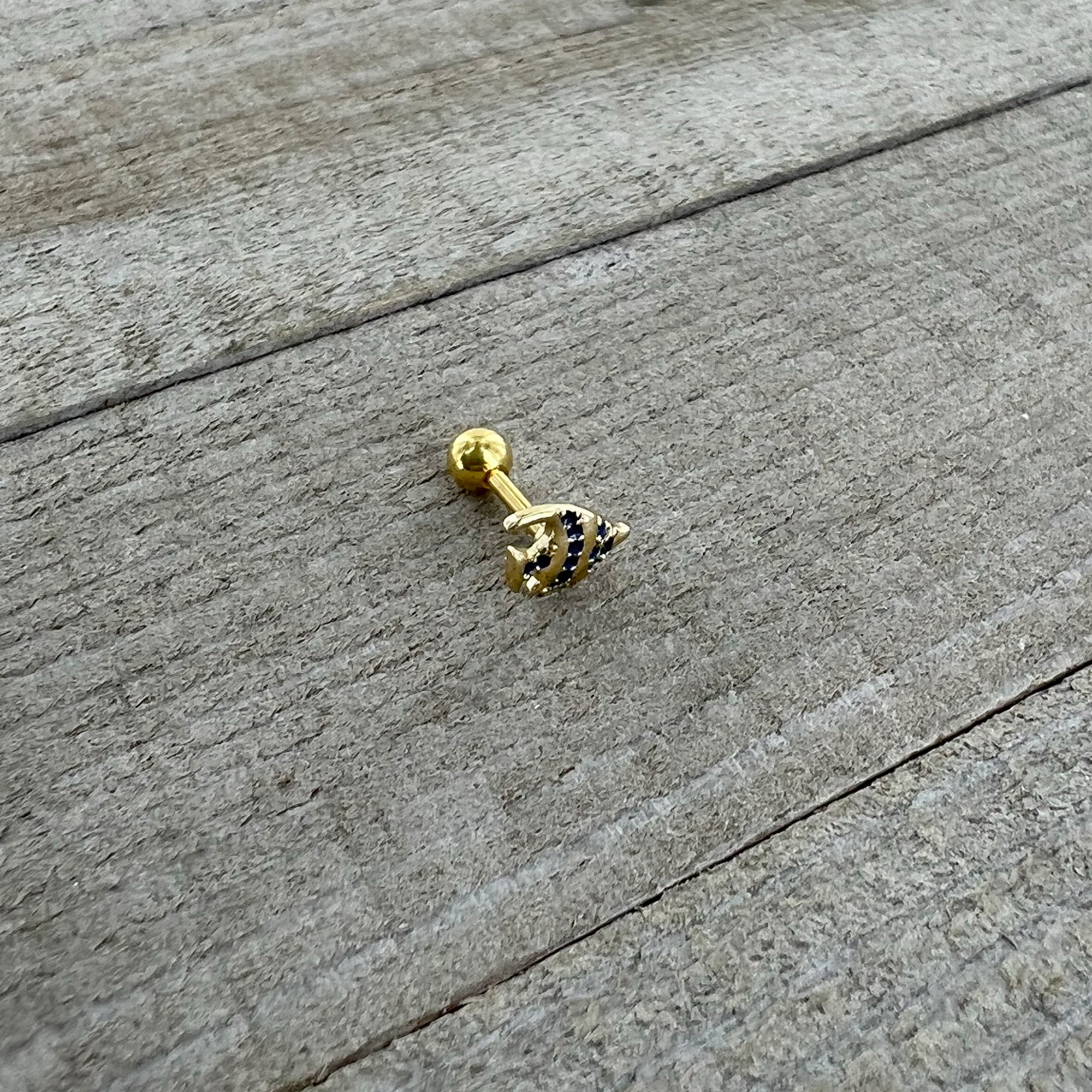 16G 1/4 Gold Tone Blue Adorable Angelfish Cartilage Tragus