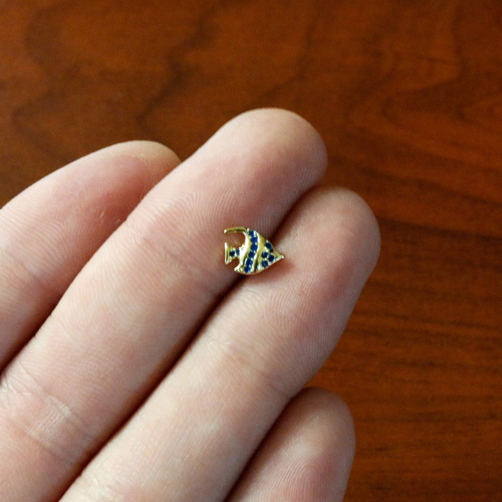 16G 1/4 Gold Tone Blue Adorable Angelfish Cartilage Tragus