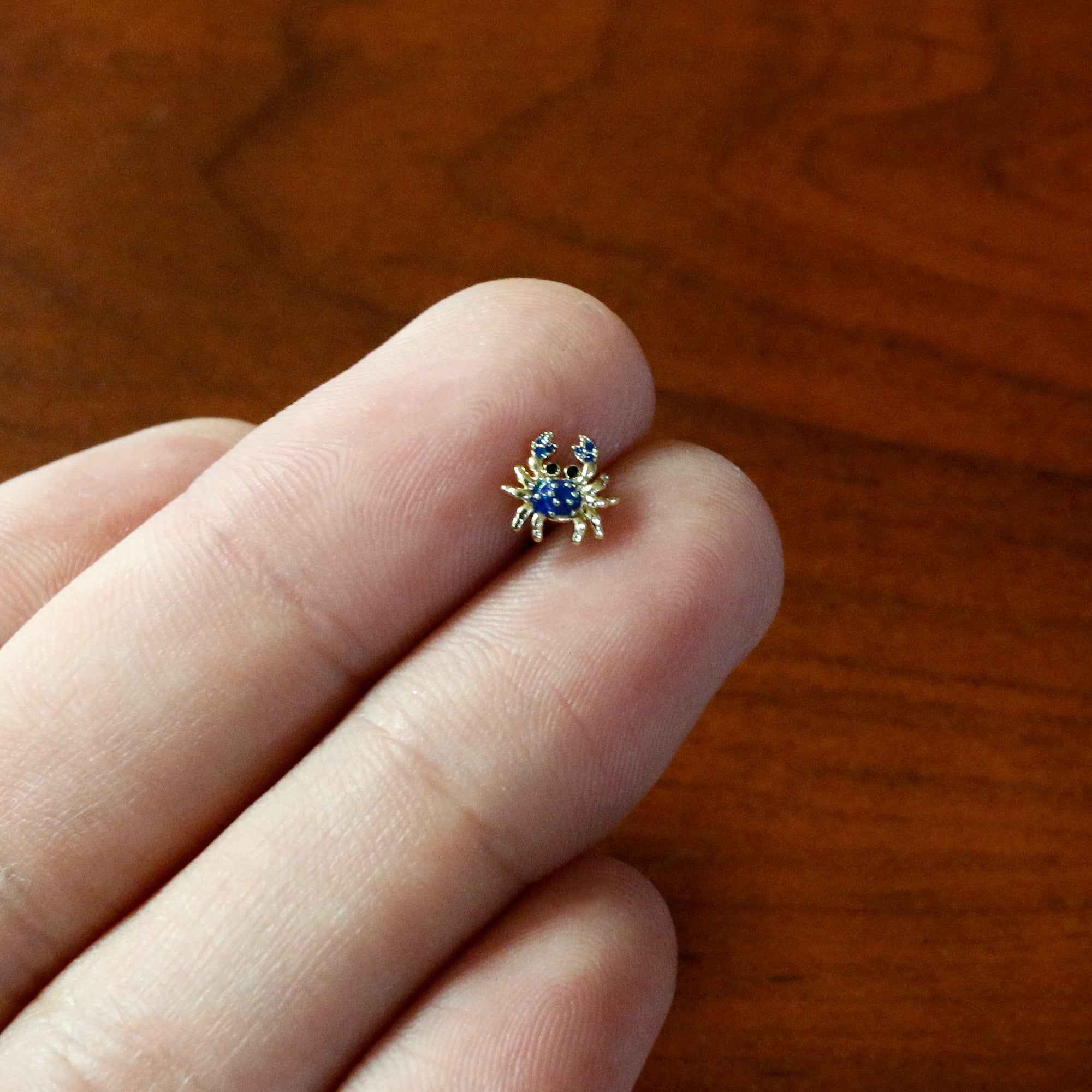 16G 5/16 Gold Tone Blue Crab Nautical Labret Monroe Tragus