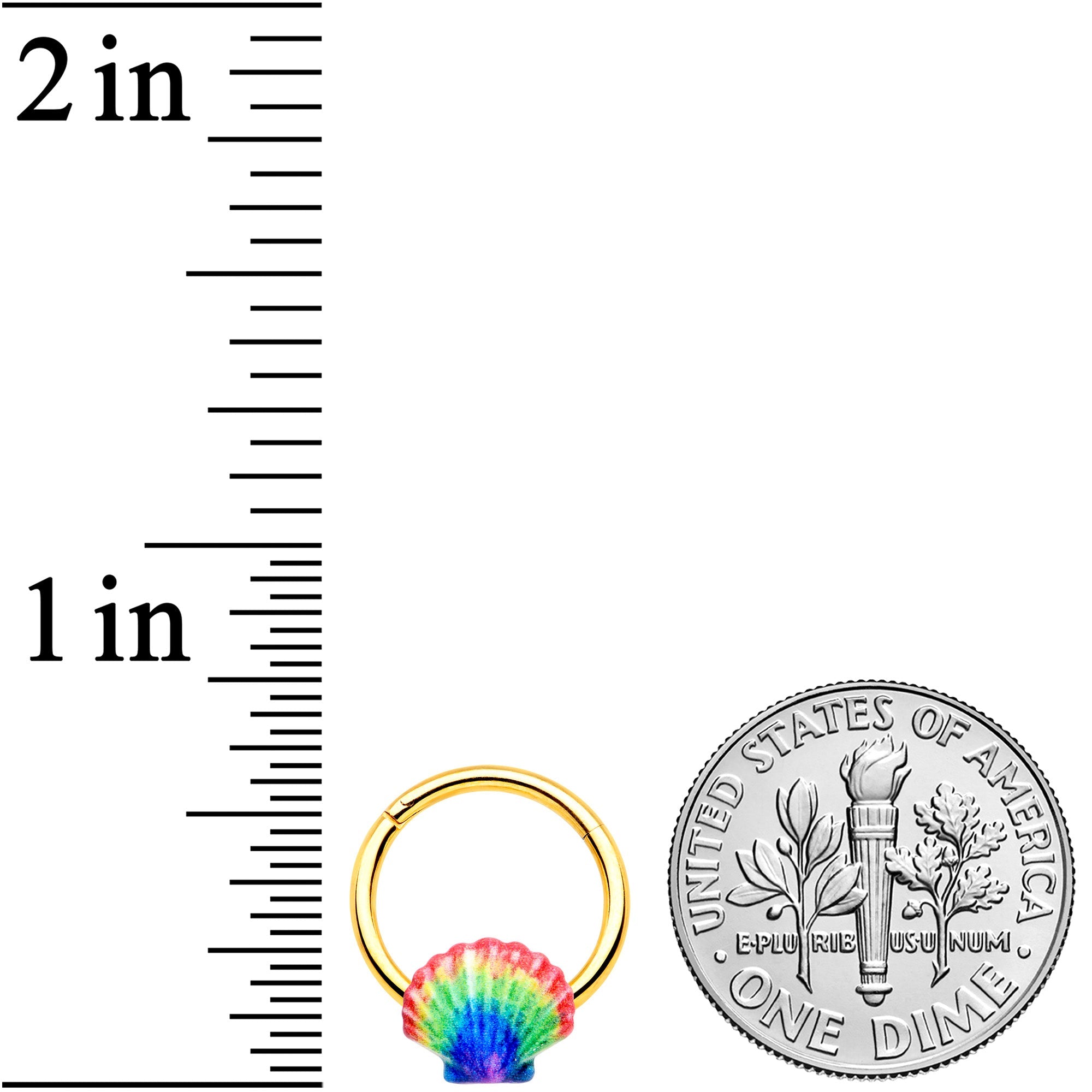 16G 3/8 Gold Tone Rainbow Scallop Shell Hinged Segment Ring