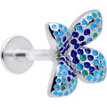 16G 5/16 Glamour Butterfly Labret Monroe Tragus