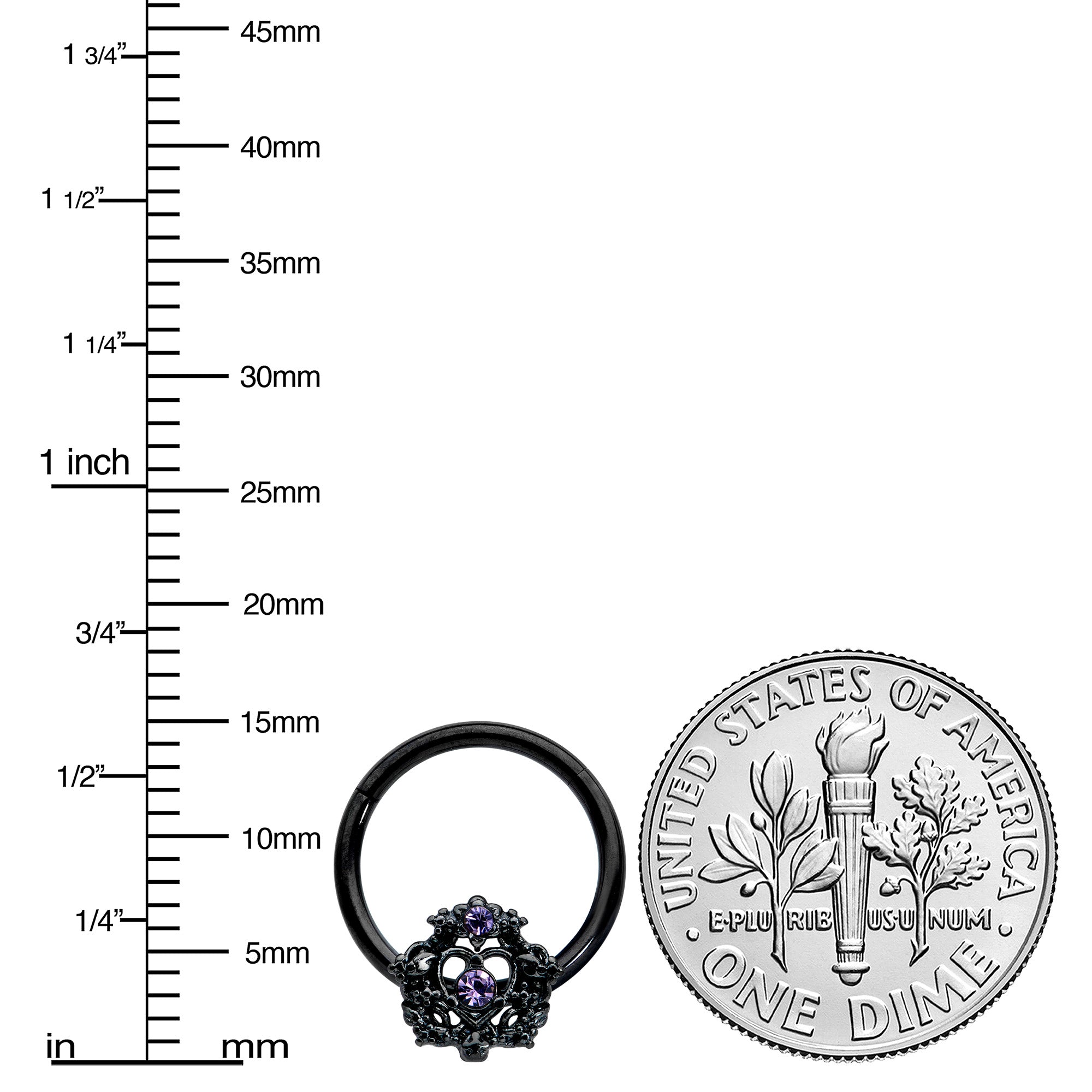 16G 3/8 Purple Gem Black Regal Crown Hinged Segment Ring