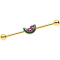 14G Gold Tone Watermelon Bite Industrial Barbell 38mm