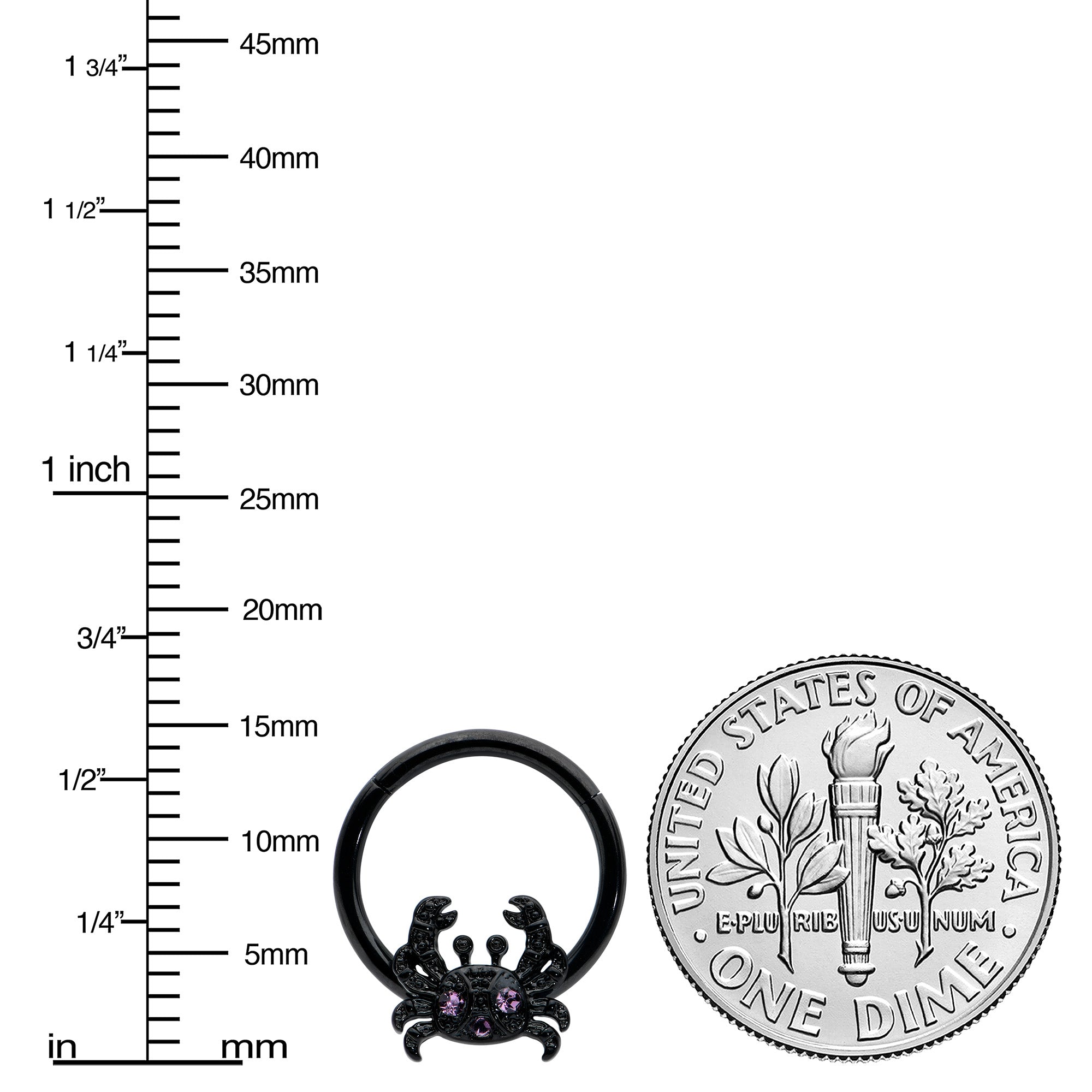 16G 3/8 Purple Gem Black Chic Crab Hinged Segment Ring