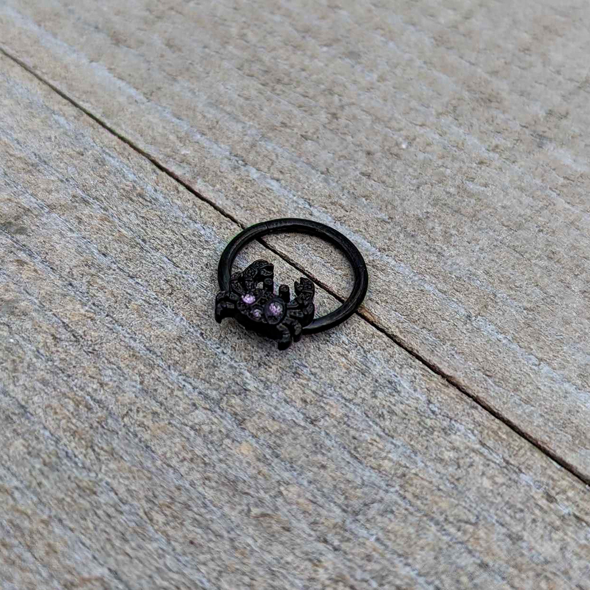 16G 3/8 Purple Gem Black Chic Crab Hinged Segment Ring