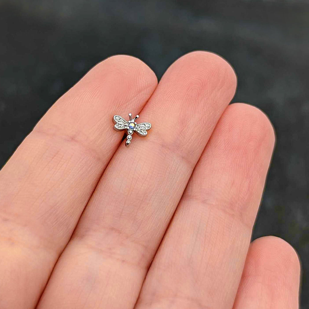 16G 5/16 Aurora Gem Ornate Dragonfly Labret Monroe Tragus