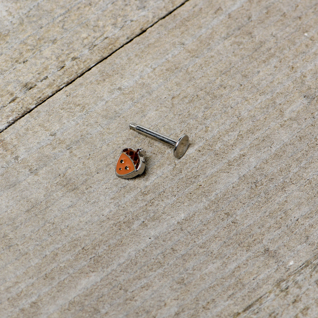 16G 5/16 Acorn Face Brown Autumn Labret Monroe Tragus