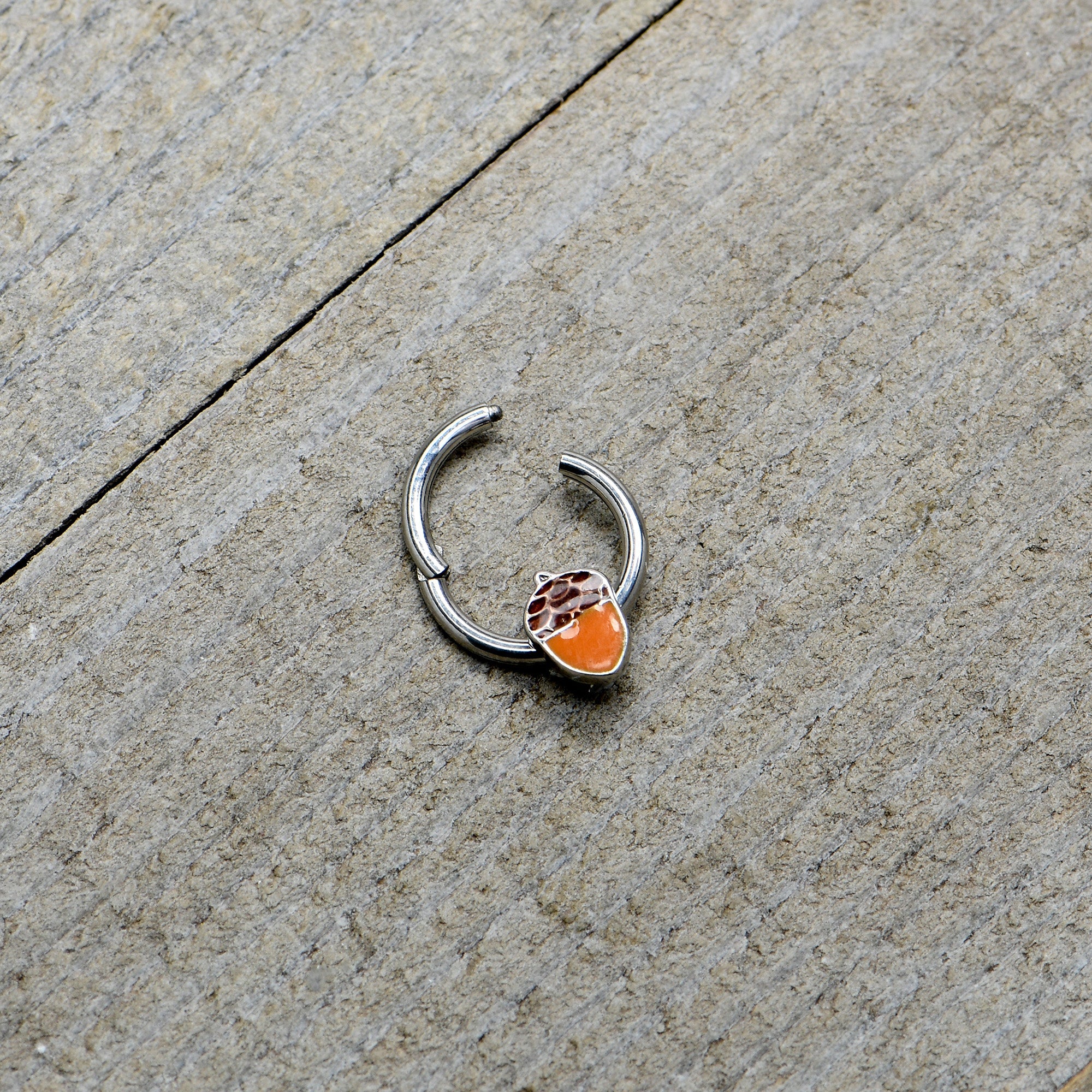 16G 3/8 Autumn Acorn Orange Brown Hinged Segment Ring
