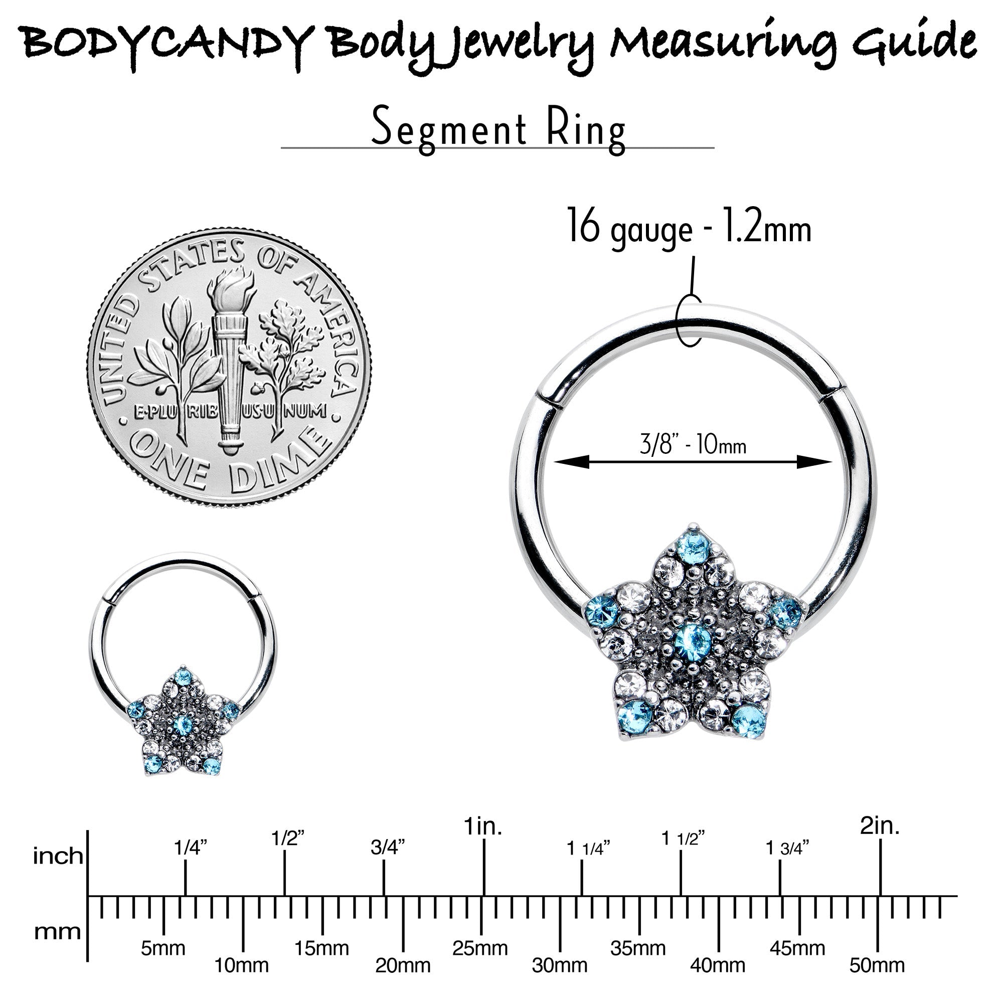 16G 3/8 Blue Clear Gem Opulent Flower Hinged Segment Ring