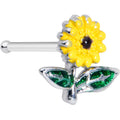 20G 1/4 Cheery Inlay Sunflower Nose Bone