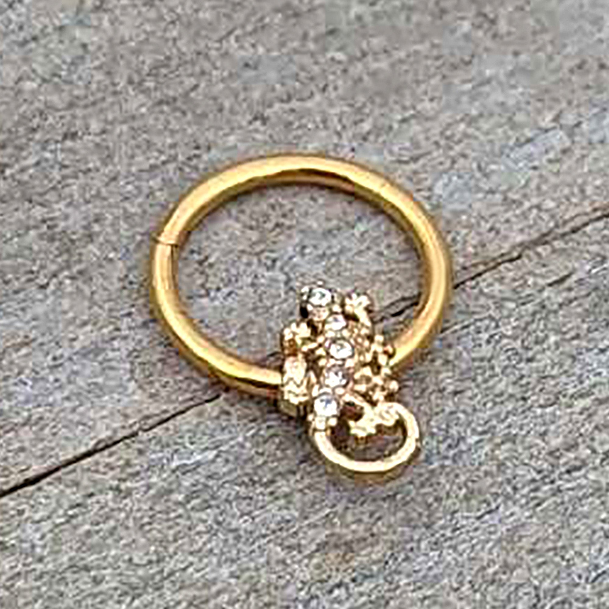 16G 3/8 Clear Gem Gold Tone Luscious Lizard Hinged Segment Ring
