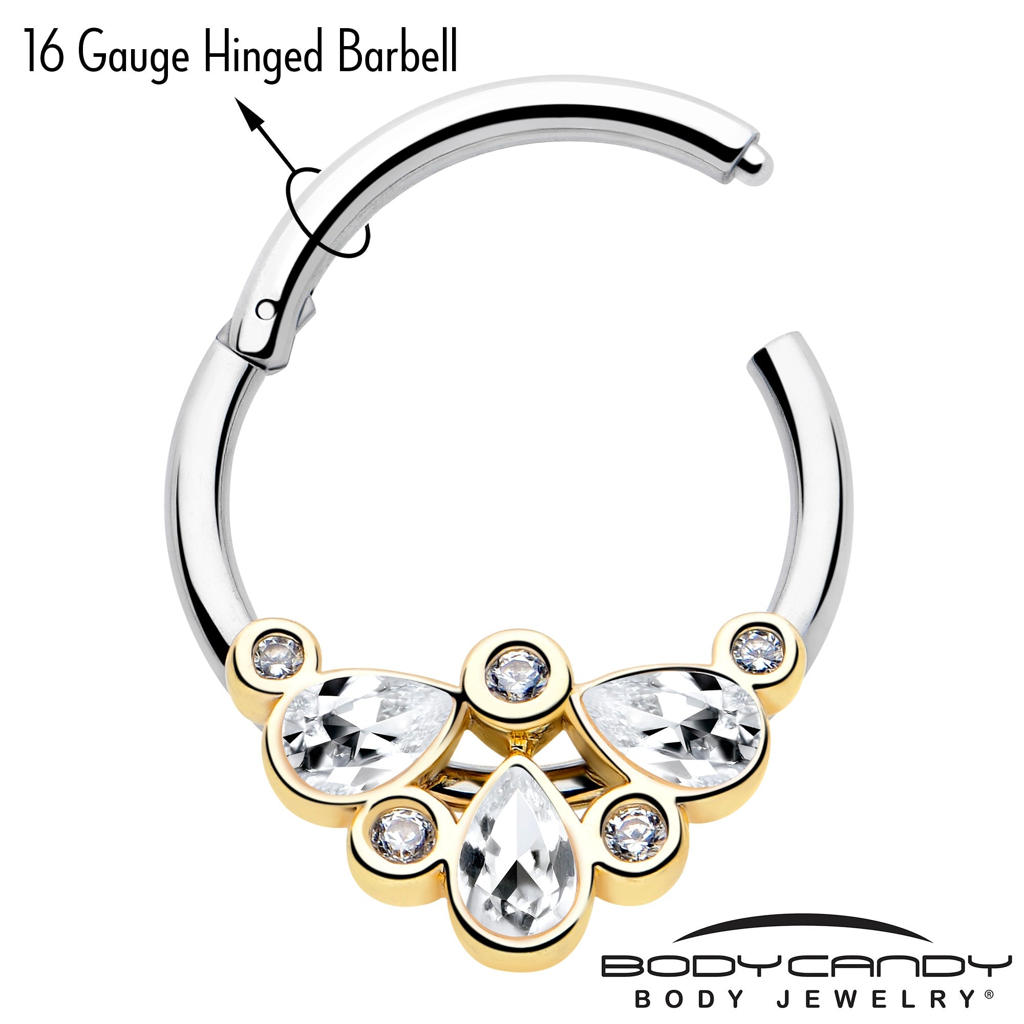 16G 3/8 Clear Gem Golden Crown Deluxe Hinged Segment Ring