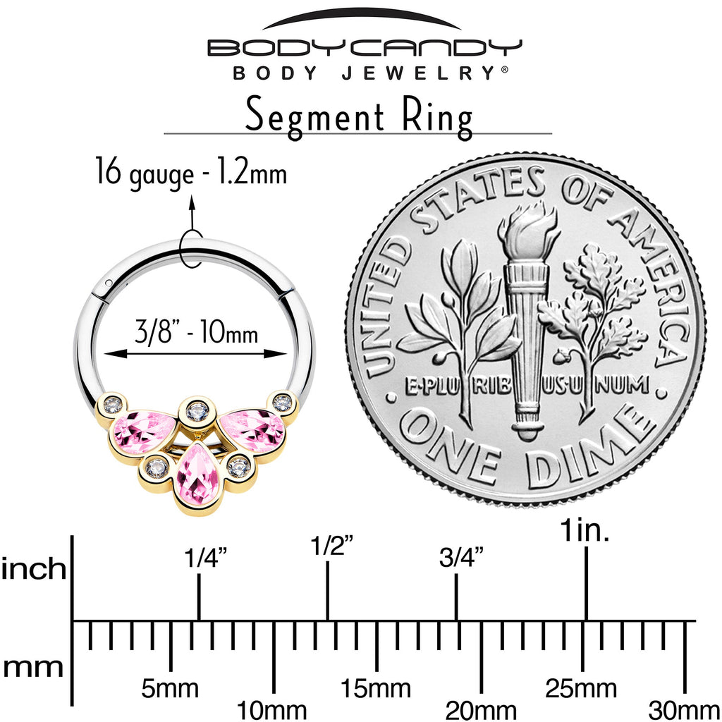 16G 3/8 Pink Gem Golden Crown Deluxe Hinged Segment Ring