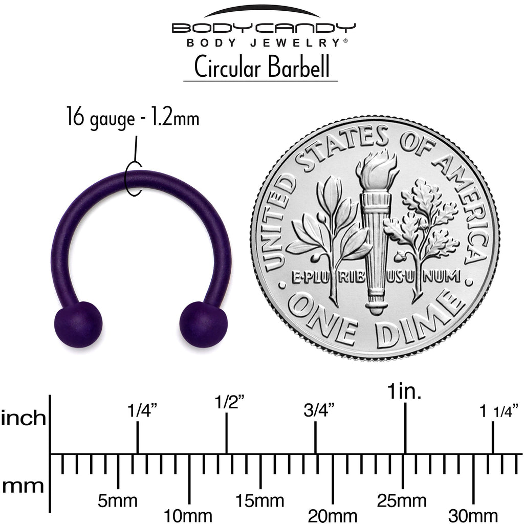 16G 3/8 Dark Purple Matte Horseshoe Circular Barbell