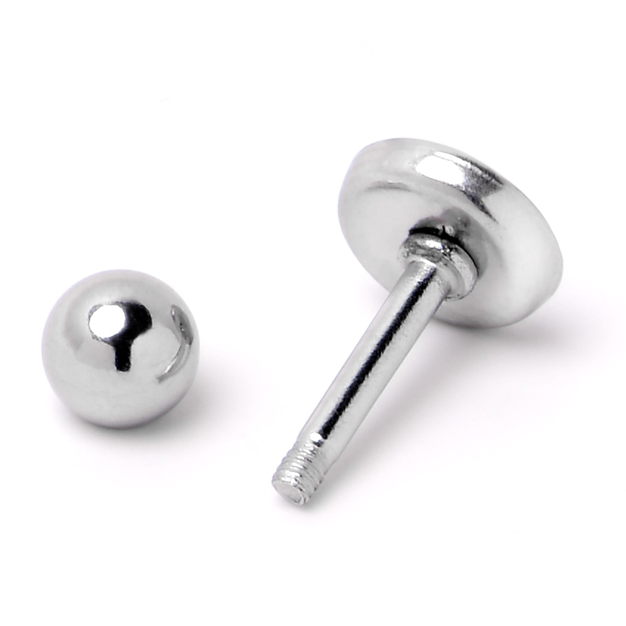 16G 1/4 Loving Blue Whales Cartilage Tragus Stud