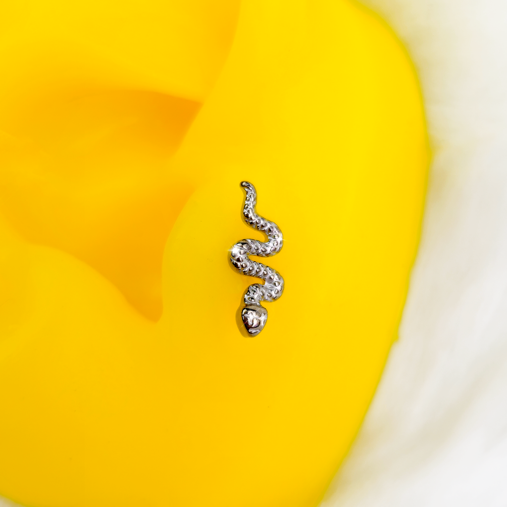 16G 1/4 Grade 23 Titanium Snake Threadless Push In Labret Tragus