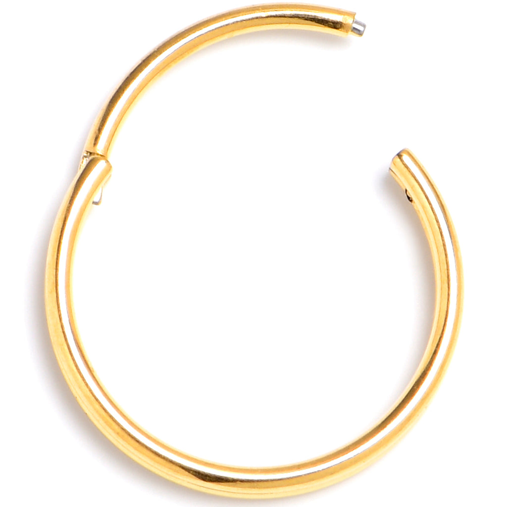 20G 3/8 Gold PVD 316L Surgical Steel Double Precision Hinged Segment Ring