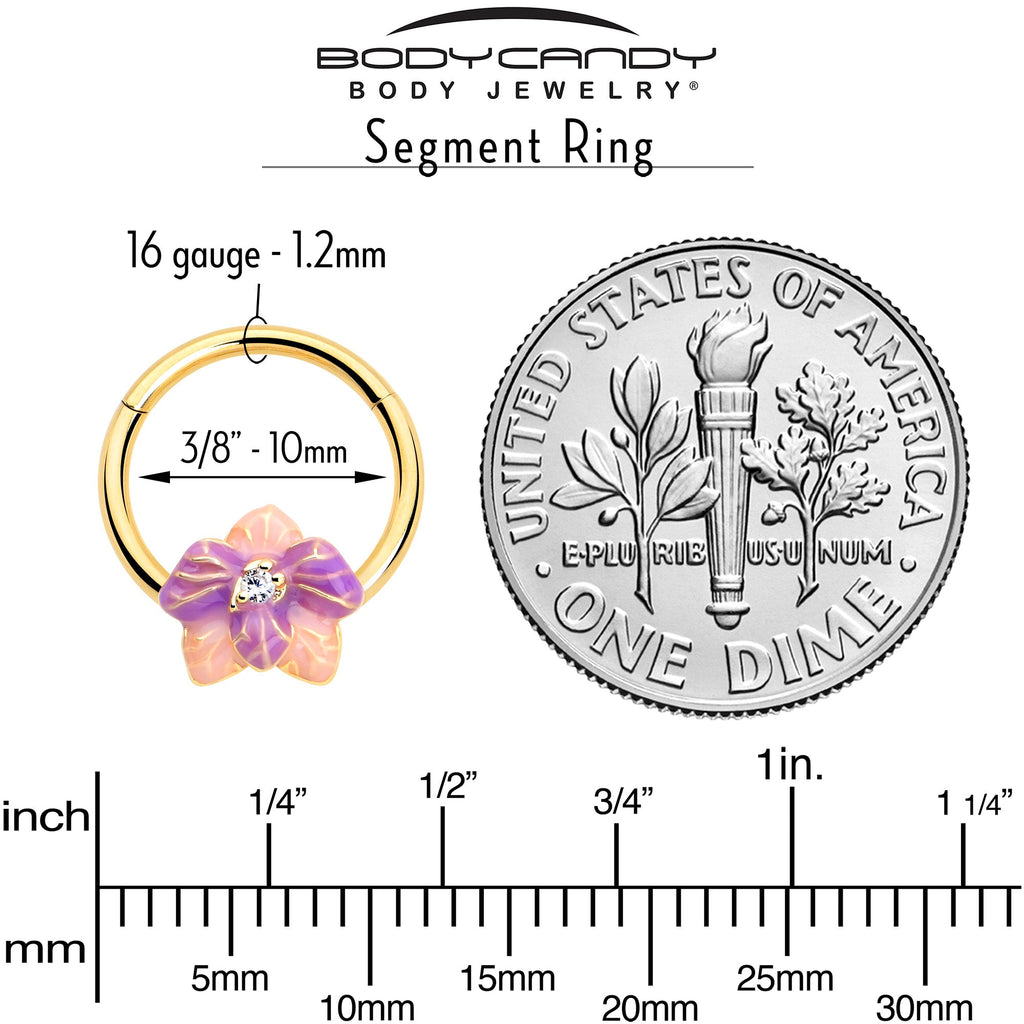 16G 3/8 Clear Gem Gold Tone Pastel Flower Hinged Segment Ring