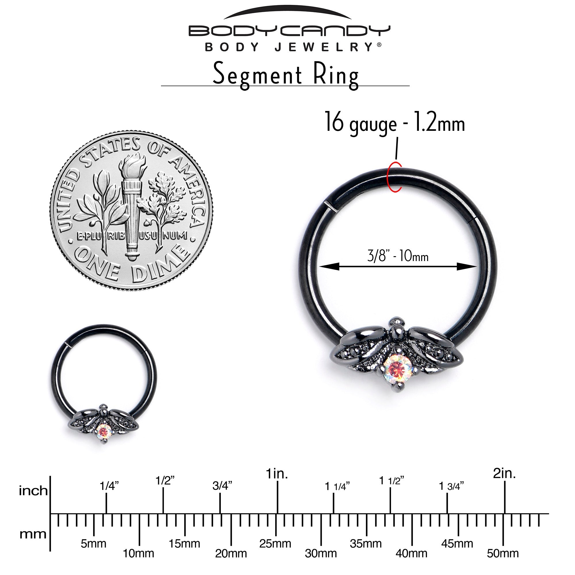 16G 3/8 Aurora Gem Black Beauty Bug Hinged Segment Ring