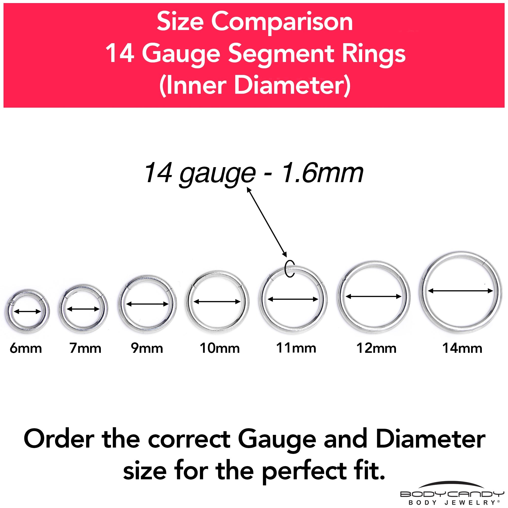 14G 1/4 316L Surgical Steel Precision Hinged Segment Hoop