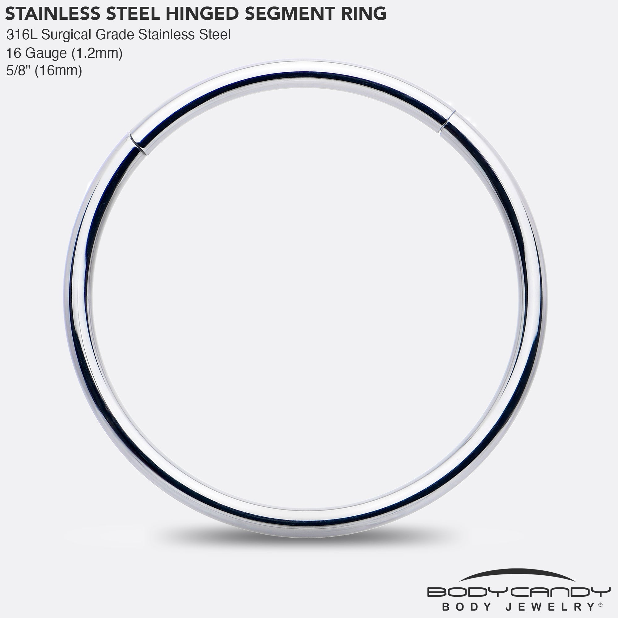 16G 5/8 316L Surgical Steel Precision Hinged Segment Hoop