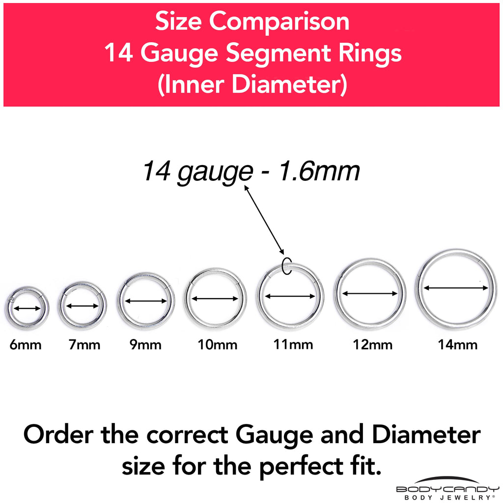 14G 9/16 316L Surgical Steel Precision Hinged Segment Hoop