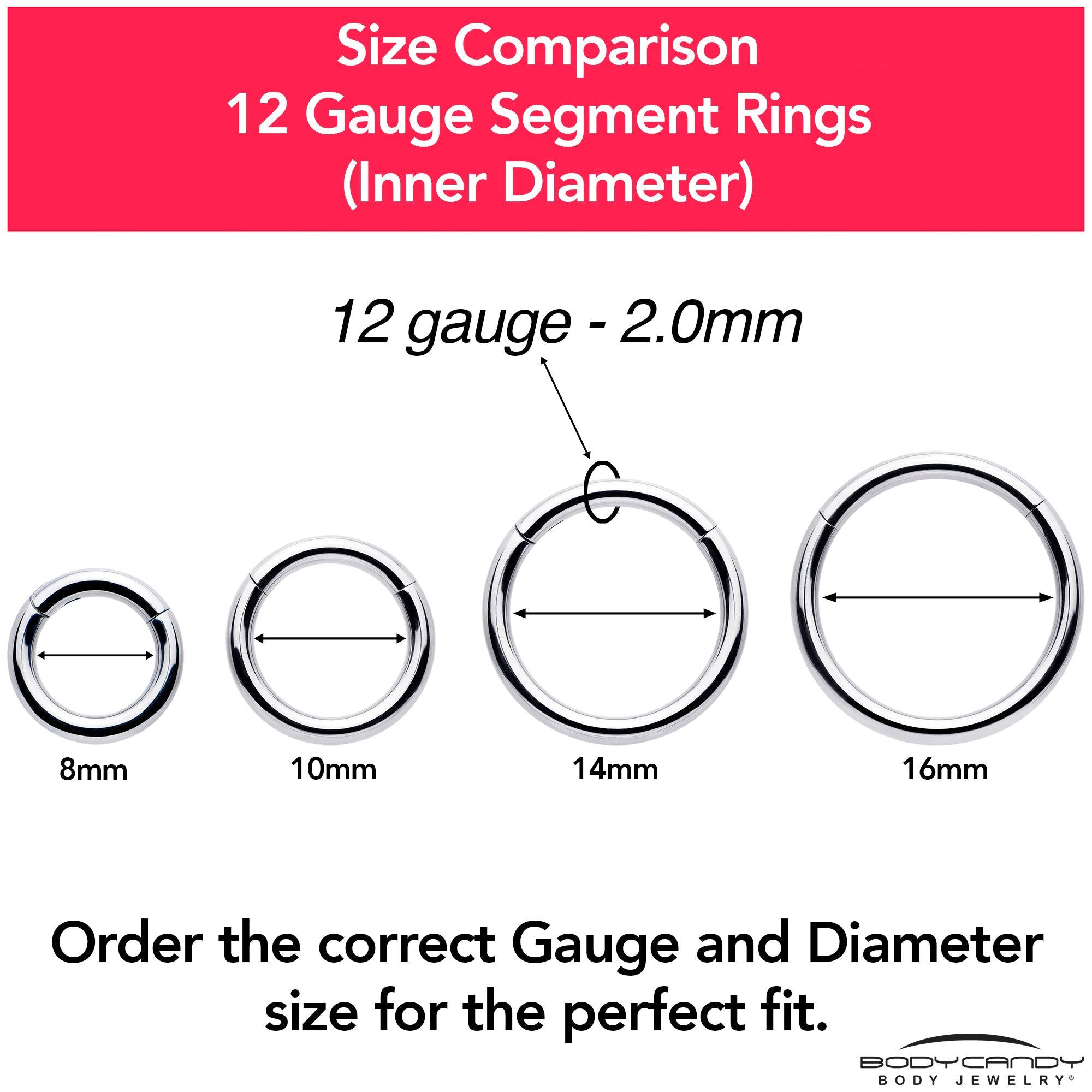 12G 5/16 316L Surgical Steel Precision Hinged Segment Hoop