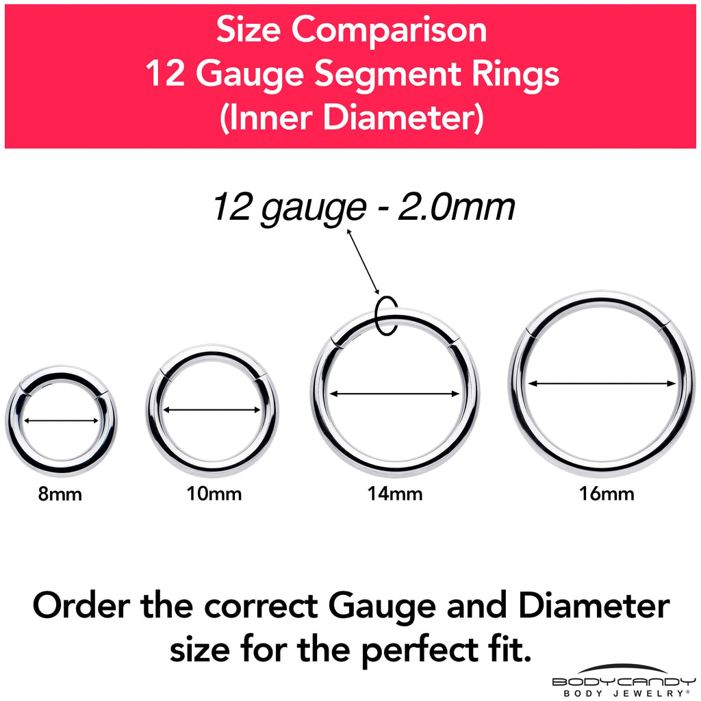 12G 9/16 316L Surgical Steel Precision Hinged Segment Hoop