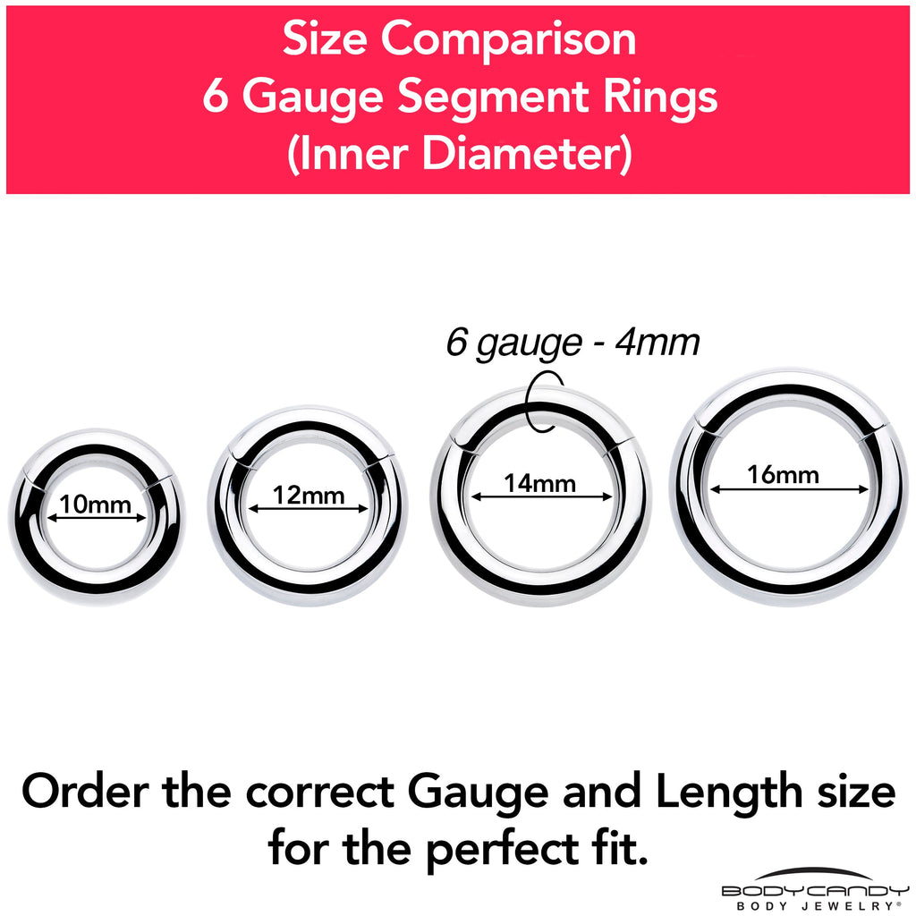 6G 5/8 316L Surgical Steel Precision Hinged Segment Hoop