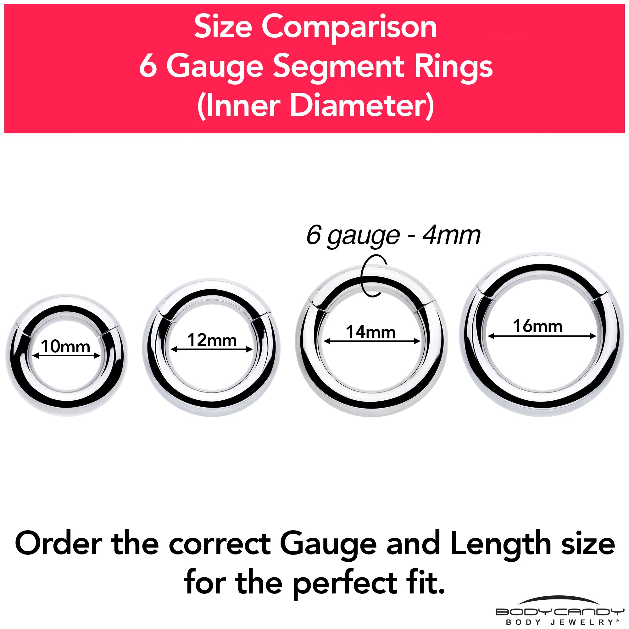 6G 5/8 316L Surgical Steel Precision Hinged Segment Hoop